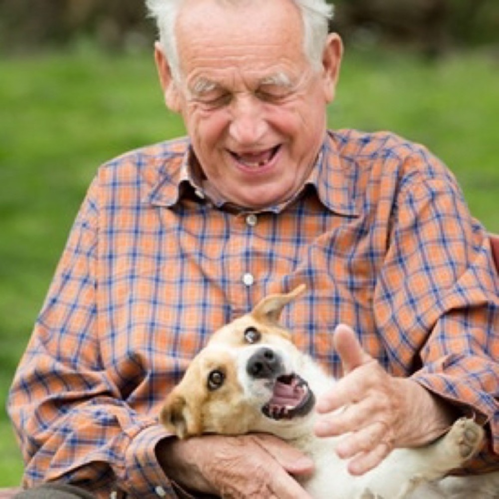 Meet your Posher, D. Rodgers